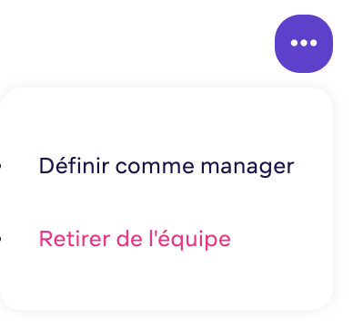 Remove from team option for an employee